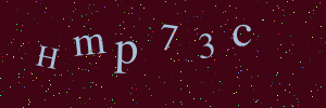 Validation image